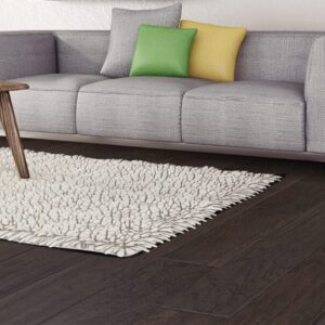 dark hardwood floor with carpet
