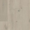 NORTHERN RETREAT COLLECTION 8-1/2"