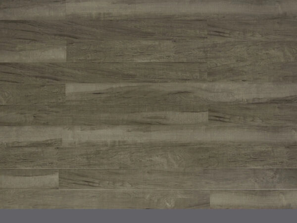 TRIFOREST - MATTE FINISH - 12.3MM - LAMINATE