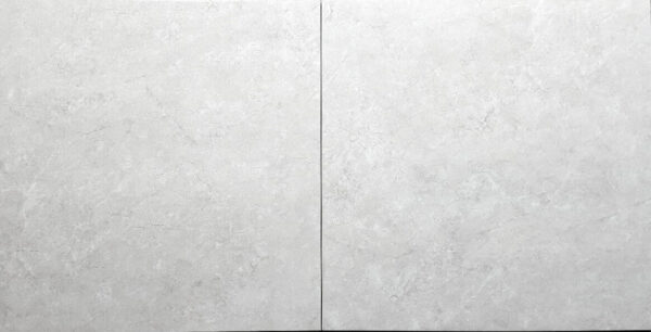 TRUSA TILE - 24X24 PORCELAIN COLLECTION