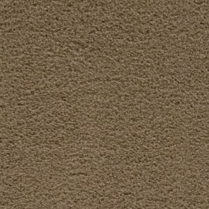 STAINMASTER SIMPLE ATTRACTION