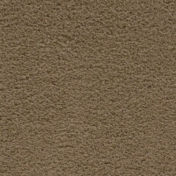 STAINMASTER SIMPLE ATTRACTION