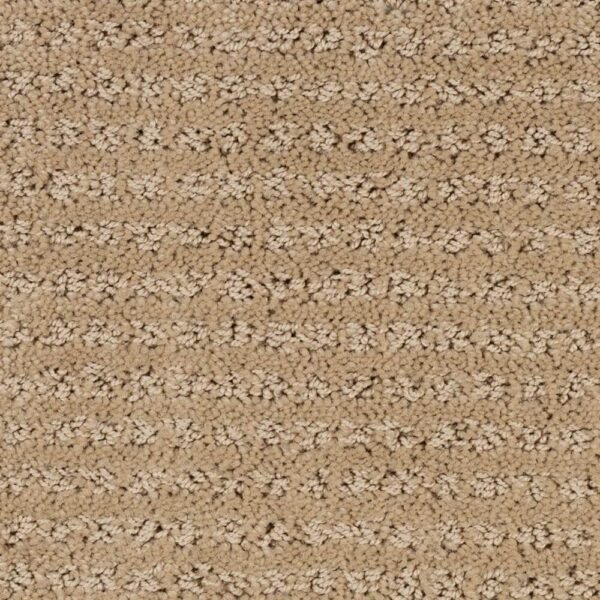 STAINMASTER SIMPLE ELEGANCE