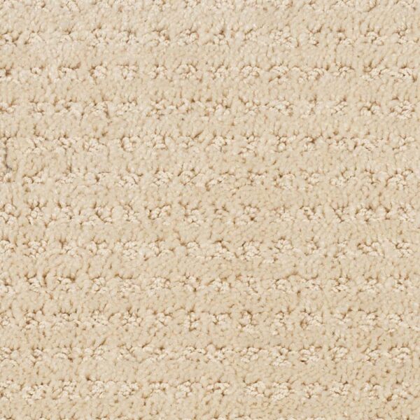 STAINMASTER SIMPLE ELEGANCE