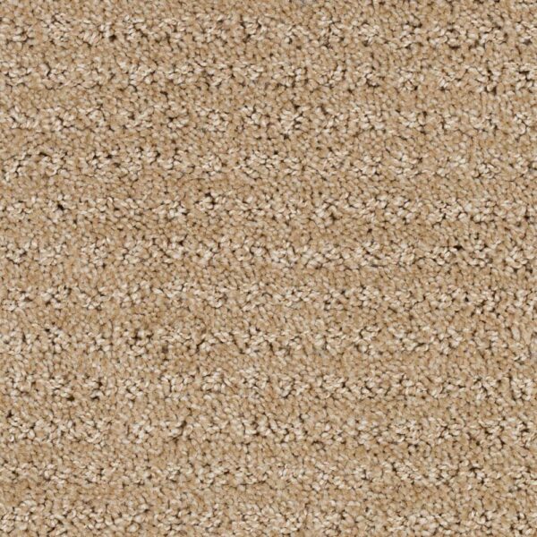 STAINMASTER SIMPLE ELEGANCE