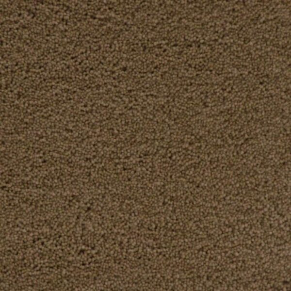 STAINMASTER SIMPLE ATTRACTION