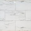 TRUSA TILE - 12X24 PORCELAIN COLLECTION