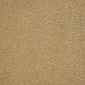 Gardenia Beige