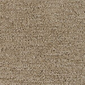 Gardenia Beige