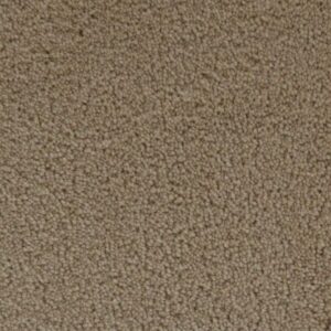 Gardenia Beige