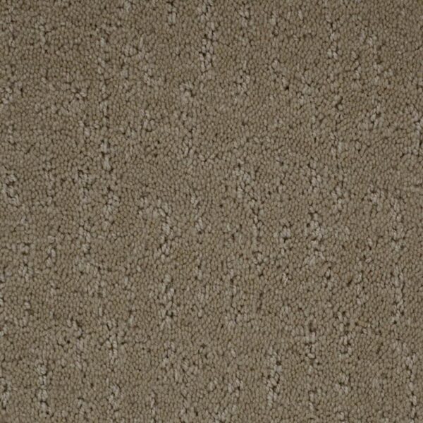 STAINMASTER SIMPLE BEAUTY