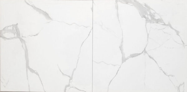 TRUSA TILE - 24X24 PORCELAIN COLLECTION