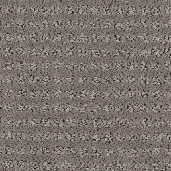STAINMASTER SIMPLE ELEGANCE