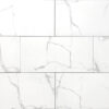 TRUSA TILE - 12X24 PORCELAIN COLLECTION