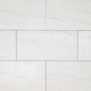 TRUSA TILE - 12X24 PORCELAIN COLLECTION