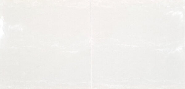 TRUSA TILE - 24X24 PORCELAIN COLLECTION