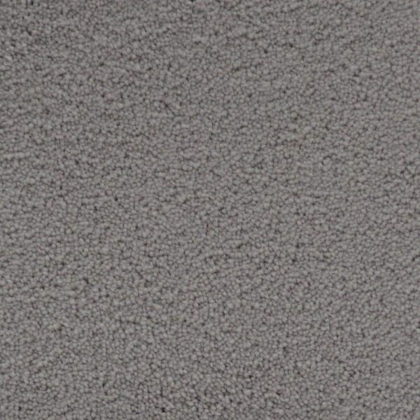 STAINMASTER SIMPLE ATTRACTION