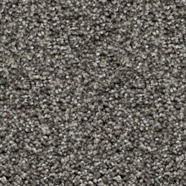 STAINMASTER BRIARD