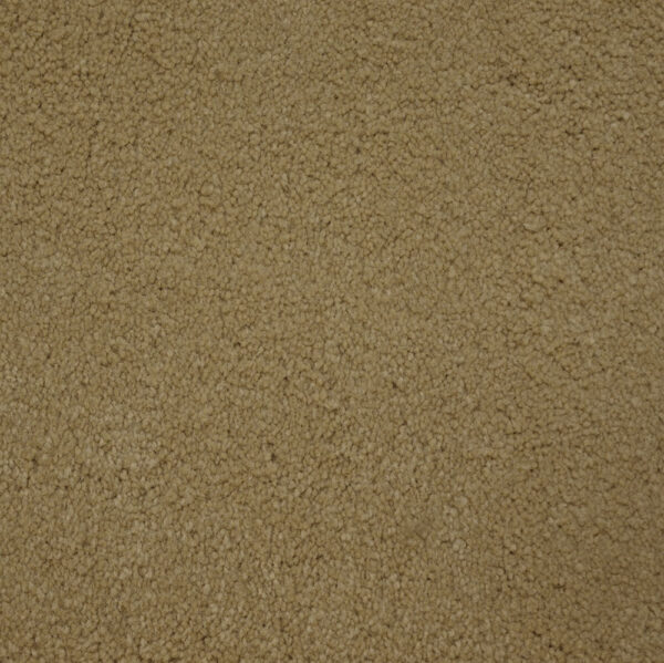 STAINMASTER TERRIER