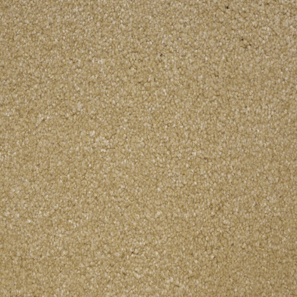 STAINMASTER TERRIER