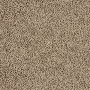 Putty Beige