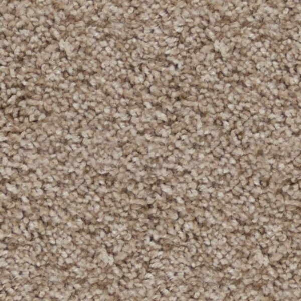 STAINMASTER BRIARD