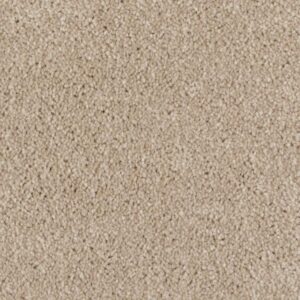 Sandy Beige #16611