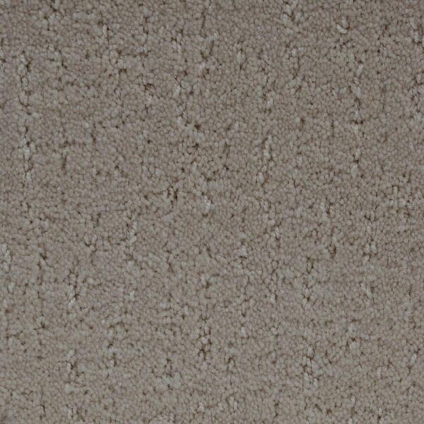 STAINMASTER SIMPLE BEAUTY