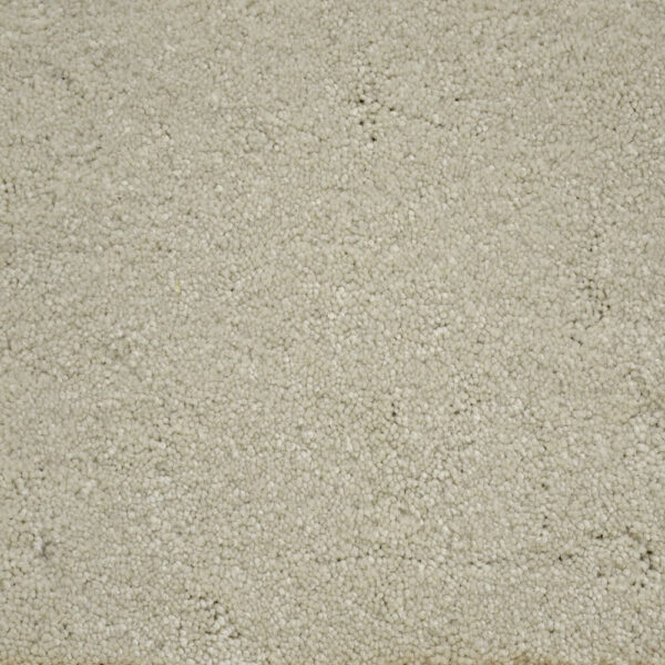 STAINMASTER TERRIER