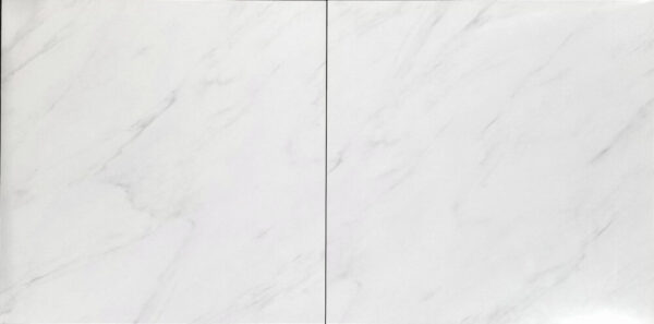 TRUSA TILE - 24X24 PORCELAIN COLLECTION