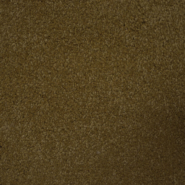 STAINMASTER TERRIER