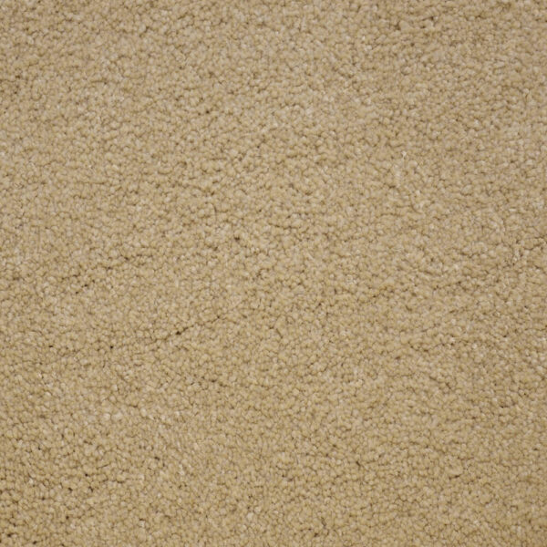 STAINMASTER TERRIER