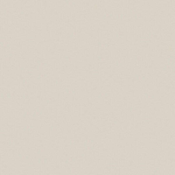 ANATOLIA TILE - PRIMA THROUGHBODY PORCELAIN 2 x 2