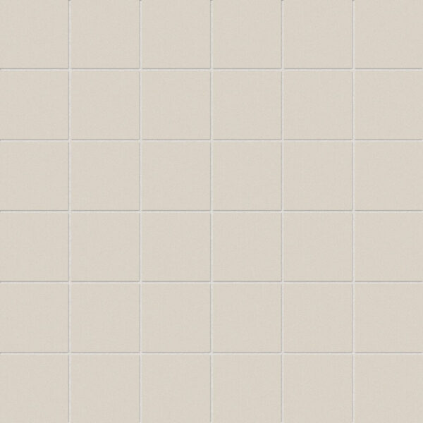 ANATOLIA TILE - PRIMA THROUGHBODY PORCELAIN 2 x 2