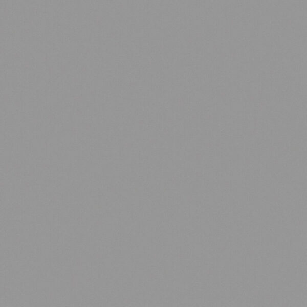 ANATOLIA TILE - PRIMA THROUGHBODY PORCELAIN 2 x 2