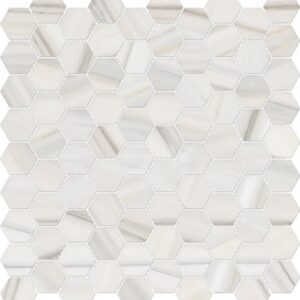 Zebrino hexagon mosaics