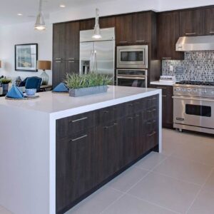 Arctic White Quartz Kitchen