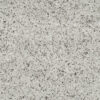 MSI SURFACES - CASHMERE CARRARA