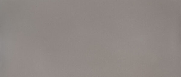 MSI SURFACES - FOSSIL GRAY