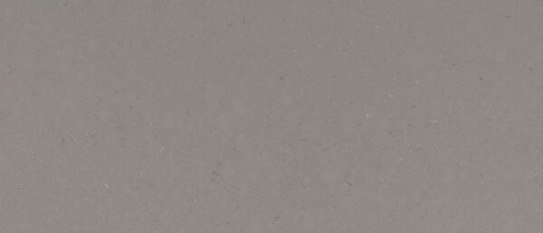 MSI SURFACES - FOSSIL GRAY
