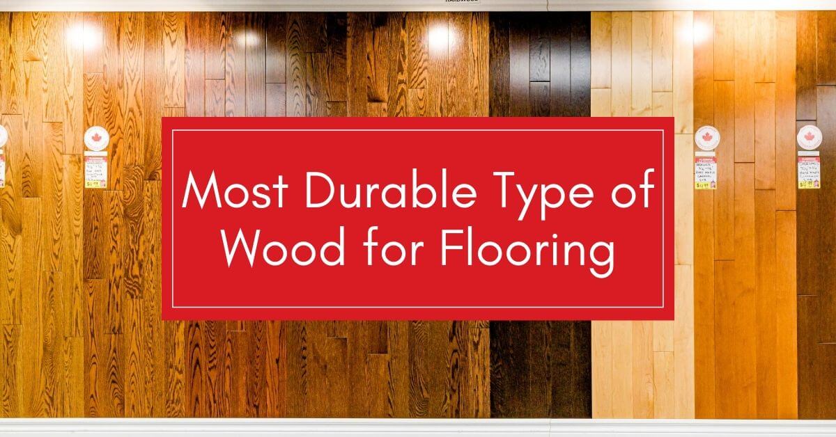 The Most Durable Wood Type For Flooring Flooring Liquidators