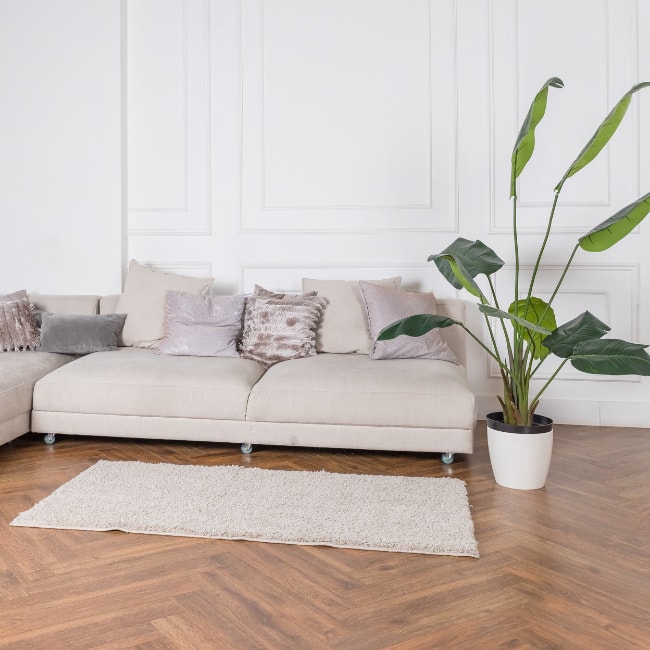 laminate flooring in newcastle