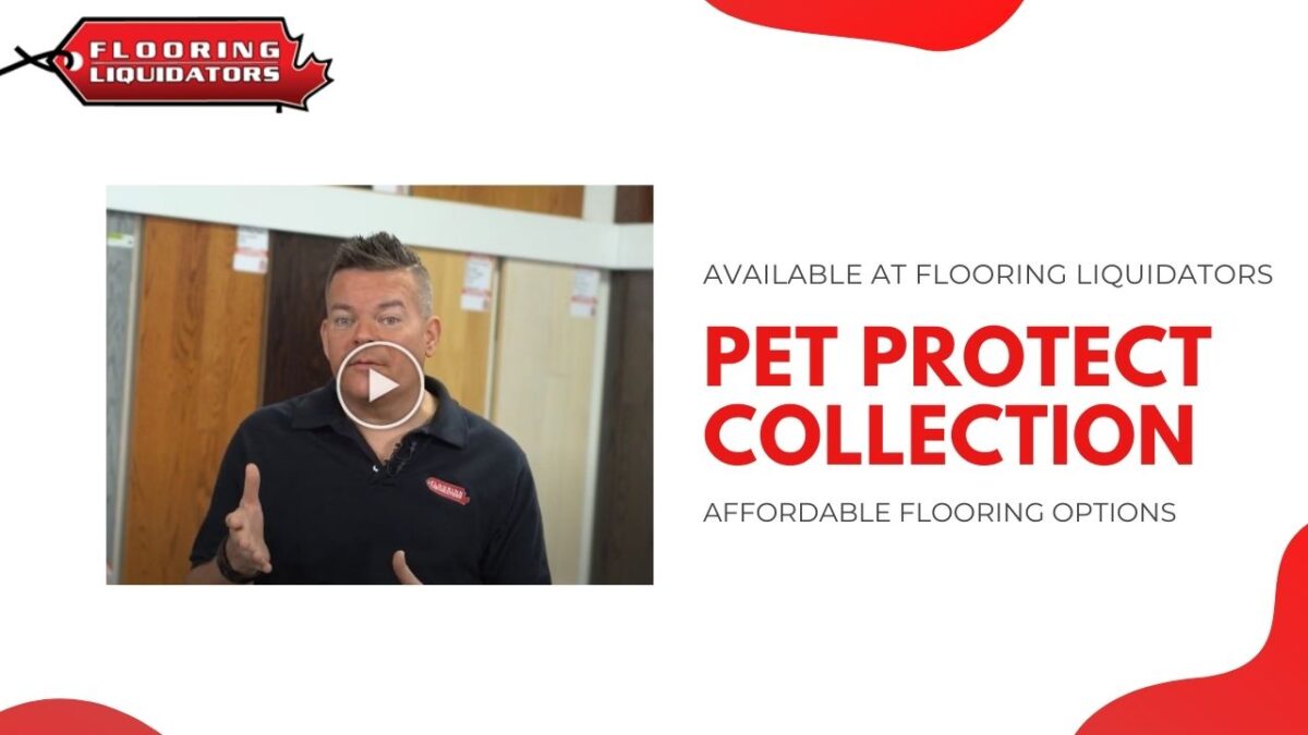 beaulieu canada stainmaster petprotect collection