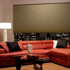 living room miravista roller shades