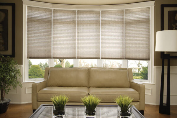 MAXXMAR - PLEATED SHADES  - PLEATED SHADES