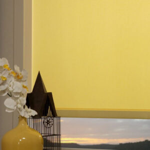 miravista roller shades