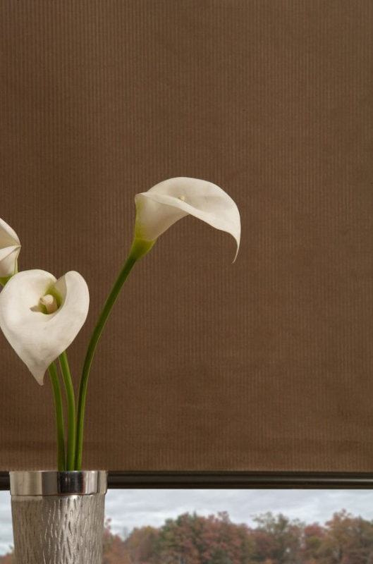 MiraVista Roller Shades Maxxmar ☑️ Across Toronto & GTA