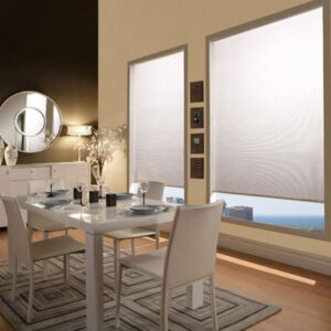 room with miravista roller shades