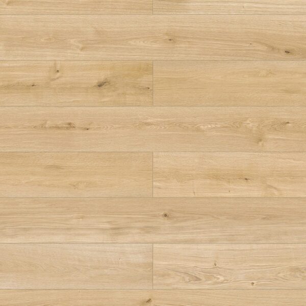 Inhaus - Elandura Wood Grain Collection