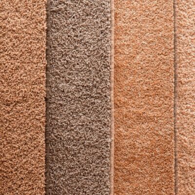 carpet store guelph sample warm